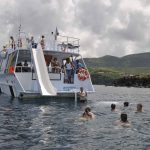 Baignade dans la réserve Cousteau de Malendure, Bouillante Guadeloupe avec le Nautilus