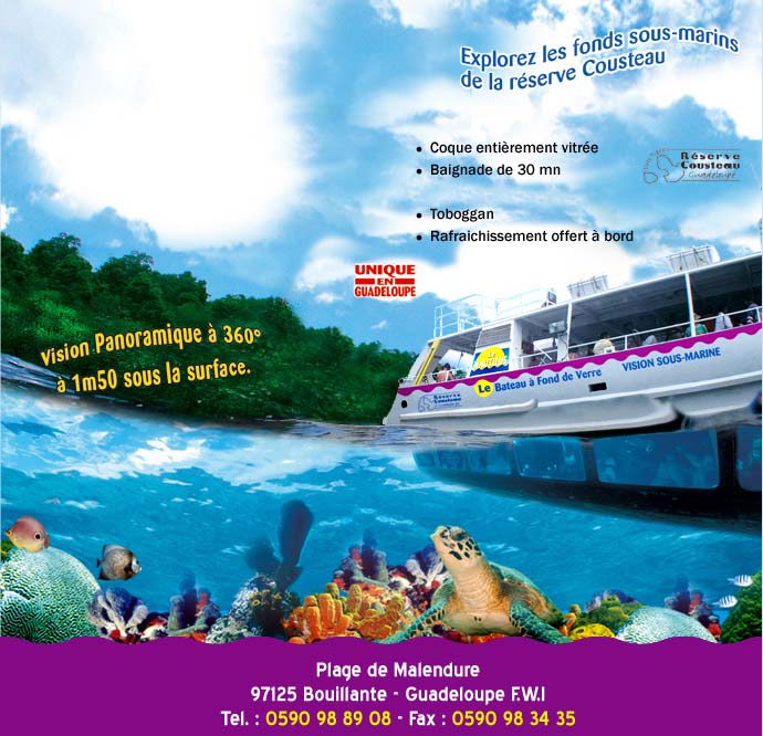 affiche les nautilus
