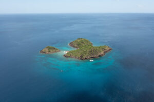 Top 5 des activités à faire autour de la réserve Cousteau