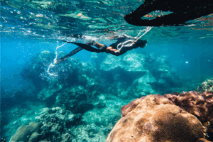 Où explorer les fonds marins en Guadeloupe ?