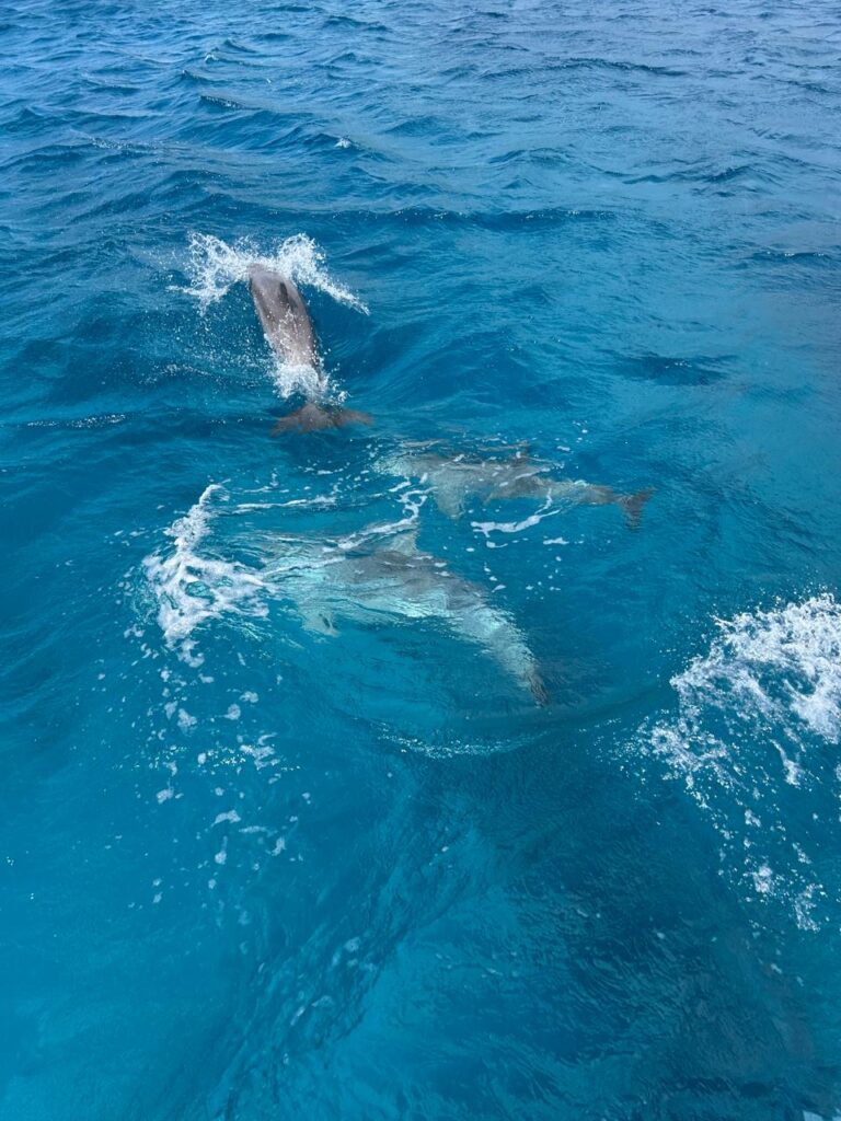 9da238a7-0f58-489b-831b-59835a682c33